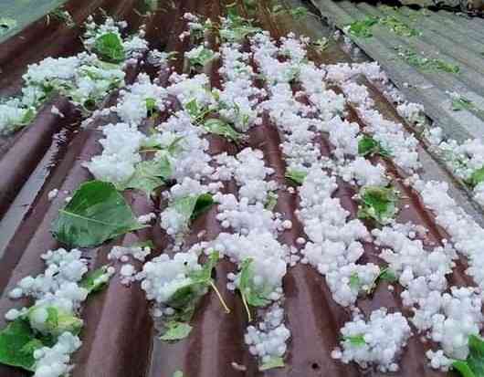 Thousands without power after devastating South Australian storm, crops 