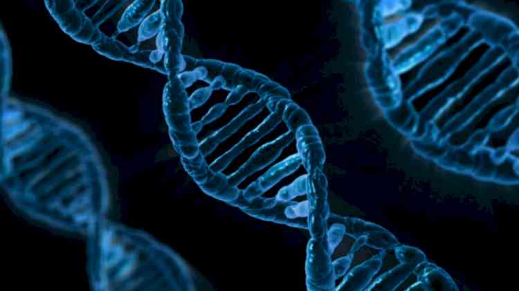 Single test for over 50 genetic diseases to make diagnosis quicker