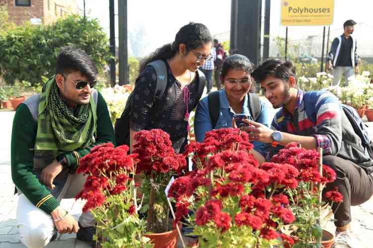 LPU’s School of Agriculture organized Chrysanthemum Flower Show