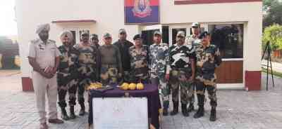 BSF seizes 3 kg narcotics dropped by Pak drone in Amritsar