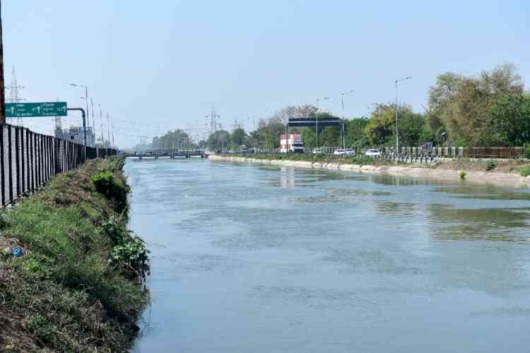 Work on 4 bridges over Sidhwan Canal to start soon: MP Arora