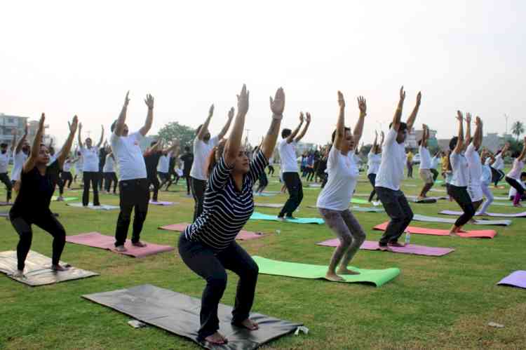 Amity University holds Yoga Session   