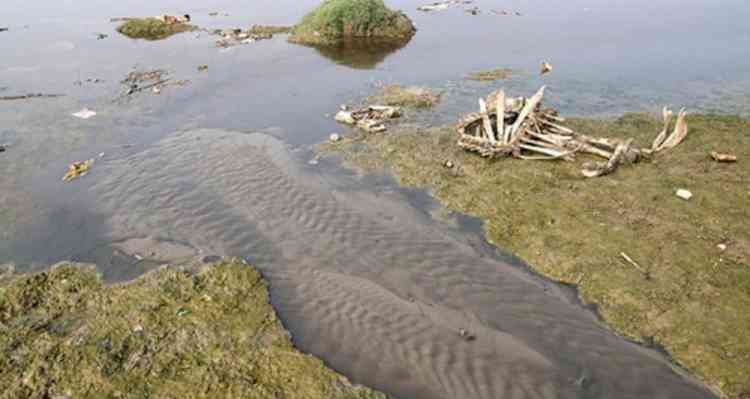 Death of a river: Fish gone, farmers gone and it is the turn of residents now