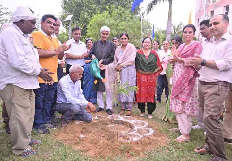 कुलपति प्रो. राजबीर सिंह के जन्मदिन पर पौधारोपण कर एमडीयू समुदाय ने लिया पर्यावरण संरक्षण का संकल्प