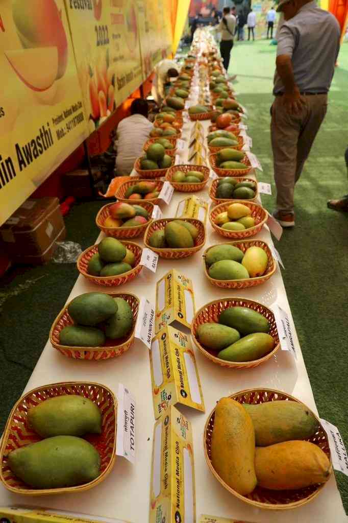 NMC Celebrates 16th India Mango Festival in Delhi