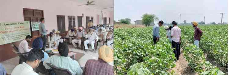 KVK BATHINDA ORGANIZES TRAINING CAMP ON INTEGRATED PEST AND DISEASE MANAGEMENT IN COTTON