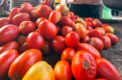 Tomatoes out of people's reach, BJP govt failed to control inflation: Goa Pradesh Mahila Congress