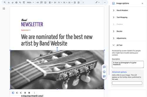 Google adding 'Alt text' in Image options sidebar of Docs, Sheets