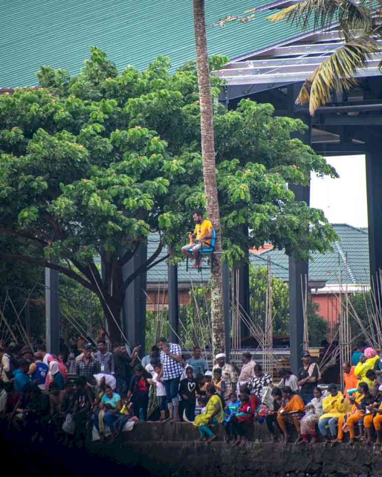 Chairs put atop coconut trees offers an extraordinary view of Nehru Trophy Boat Race 