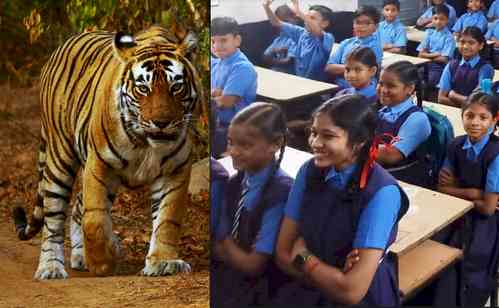 UP: Pilibhit school closed after tiger spotted nearby