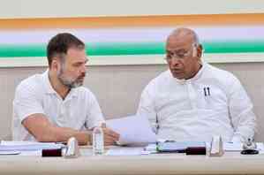 Kharge, Rahul express distress over Cyclone Michaung