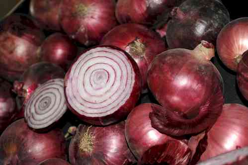 Govt bans onion exports to keep prices in check