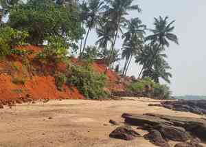 BJP govt going all-out to destroy environment, allowed illegal activities on river bank: Goa Cong leader