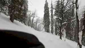 Snowfall eludes Shimla, but Manali wraps in white blanket