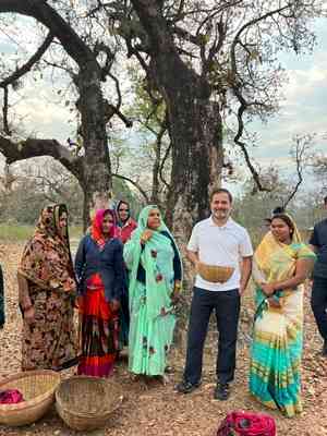 Rahul Gandhi makes surprise visit to women collecting 'mahua' flowers in MP’s Shahdol