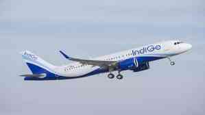 Bomb threat for IndiGo flight at Delhi airport turns out to be hoax