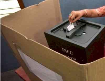 Himachal received 41,252 postal ballots: Election official