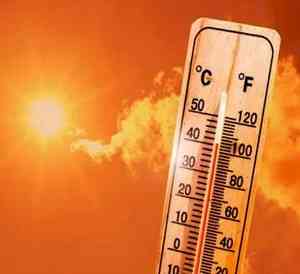 Delhi locality's 52.9 degrees C temperature reading likely due to error, IMD checking data