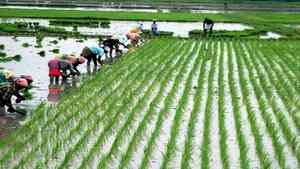 Ex-Union Minister Vasan demands TN govt support farmers in cultivating paddy during Kuruvai season