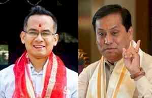 Assam: NDA leading in 10 seats, Congress in 4 seats