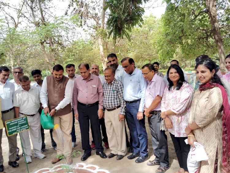 बढ़ते तापमान का एक ही हल पौधारोपण: प्रो नरसी बिश्नोई