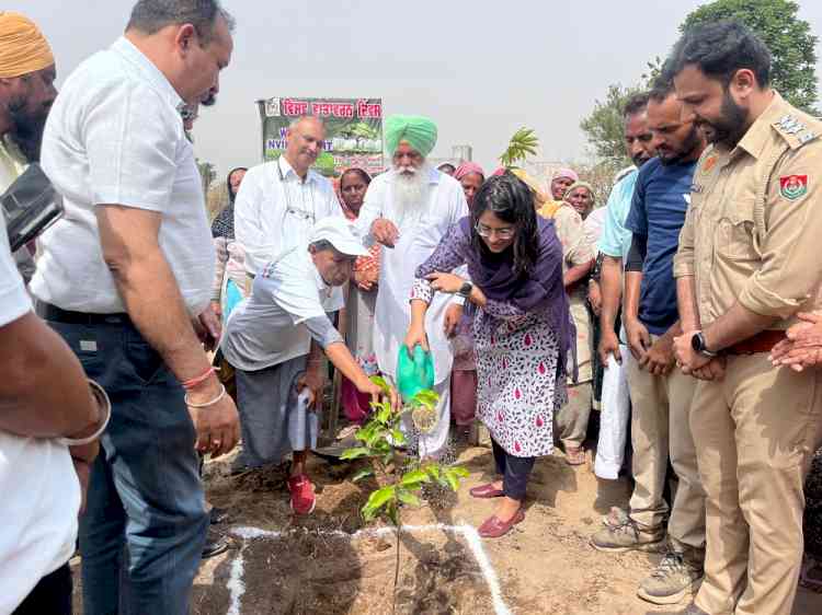 ADC and Assistant Commissioner inaugurate Micro Forest Project for Ludhiana