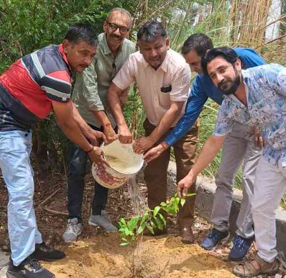 अधिक से अधिक वृक्ष लगाने के लिए प्रेरित किया