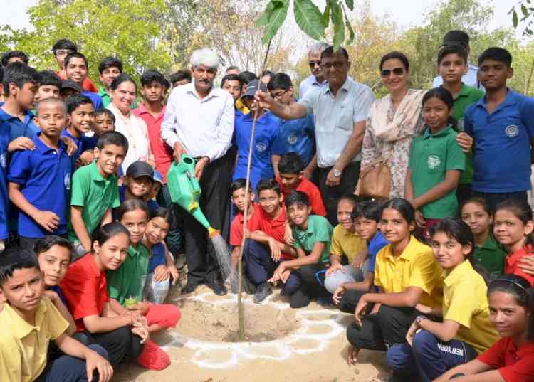 अधिक से अधिक पेड़-पौधे लगाकर पर्यावरण को सहेजना जरूरीः कुलपति प्रो. राजबीर सिंह