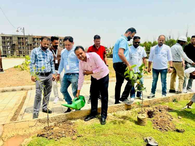 World Environment Day: Tree plantation drive by Realcon