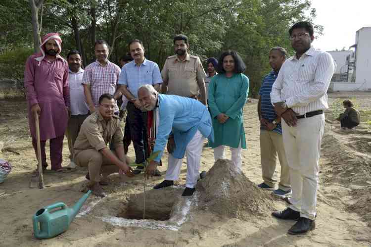 Central University of Punjab fraternity plants tree saplings to establish Guru Nanak Vatika on World Environment Day