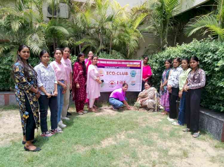 Eco Club of PCM SD College for Women holds Tree Plantation Program