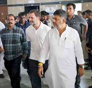 Rahul Gandhi gets bail in defamation case
