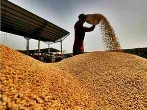 Govt says it has sufficient wheat stocks to keep price in check