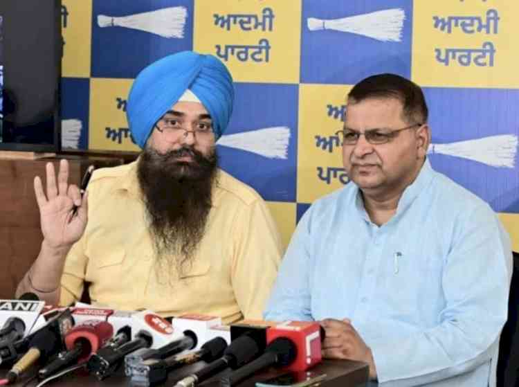 AAP MP Malvinder Kang condemned the statement of Sher Singh Ghubaya, saying his comments were threats and against our democratic values