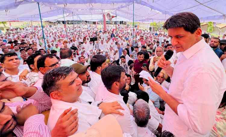 MP Deepender Hooda thanks voters for strengthening democracy, protecting Baba Saheb's constitution