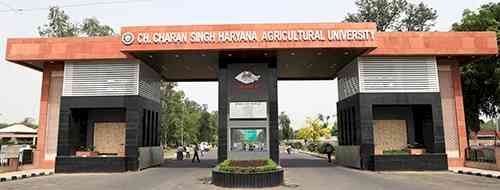 चौ. चरण सिंह हरियाणा कृषि विश्वविद्यालय ने विभिन्न पाठ्यक्रमों में दाखिले के लिए आवेदन अब 17 जून तक किए जा सकेंगे