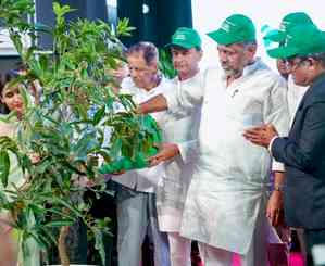 Two lakh saplings to be planted in Bengaluru this year, says Deputy CM Shivakumar