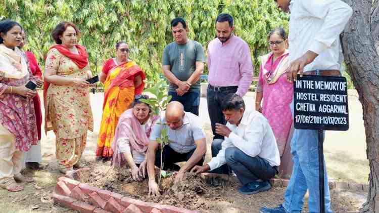 Fruit tree planted in memory of Chetna Aggrawal