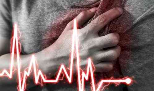 Gujarat tourist dies of heart attack in J&K