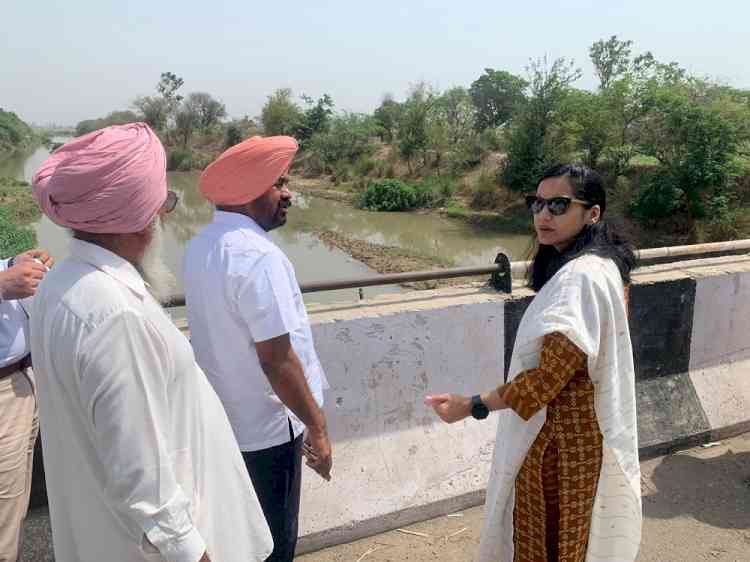 DC takes stock of flood protection works in areas along Sutlej river