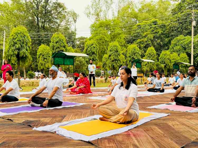 DC exhort people to make Yoga part of daily routine for healthy life