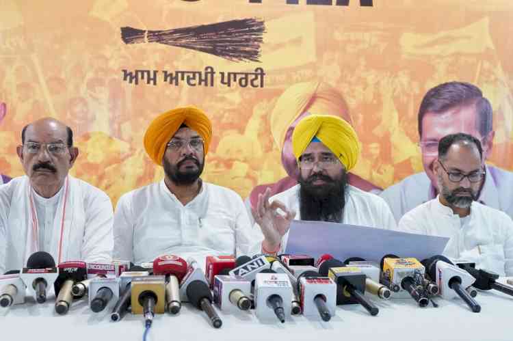 AAP will fight Jalandhar by-election under the leadership of Chief Minister Bhagwant Mann, the party will register a huge margin victory: Kuldeep Dhaliwal