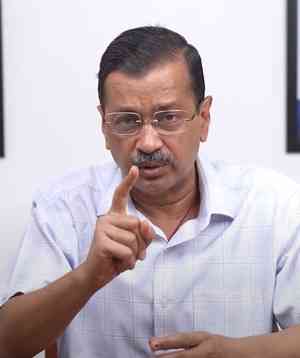 'Trial court didn’t apply its mind': Delhi HC stays CM Kejriwal's bail