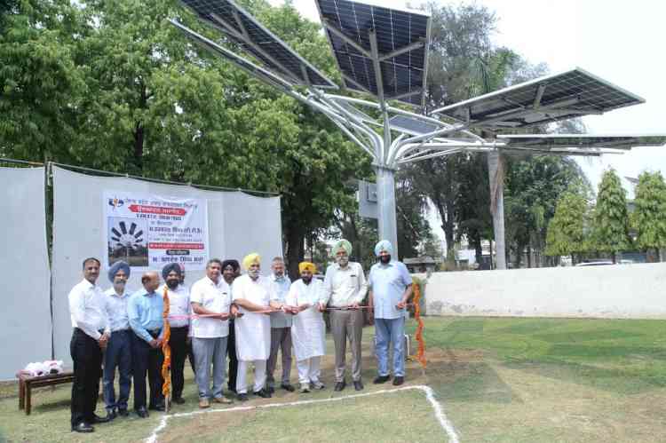 PSPCL takes unique initiative of commissioning seven solar trees 