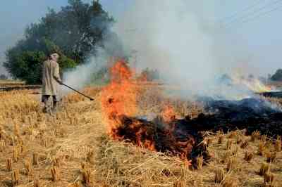 Punjab prepares Rs 500 cr action plan for crop residue management