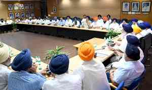 Akali Dal cautions against 'conspiracy to disturb peace in Punjab'