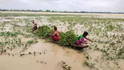 Bihar: Flood threat looms over West Champaran, Gopalganj  
