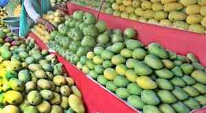 UP govt to boost mango export with higher yield and improved quality