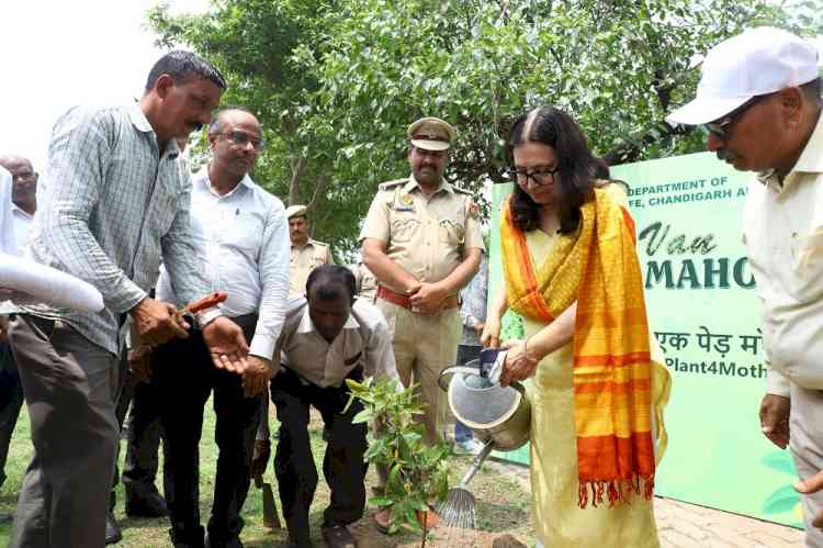 Plantation drive near Centre for Nuclear Medicine, Panjab University South Campus