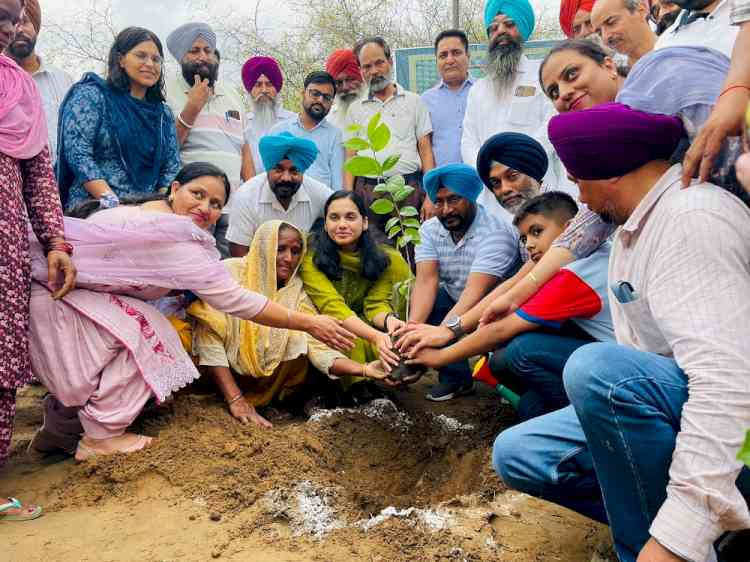 1.87 lakh tree saplings planted across district under 'Wake Up Ludhiana' campaign on Friday - DC Sawhney